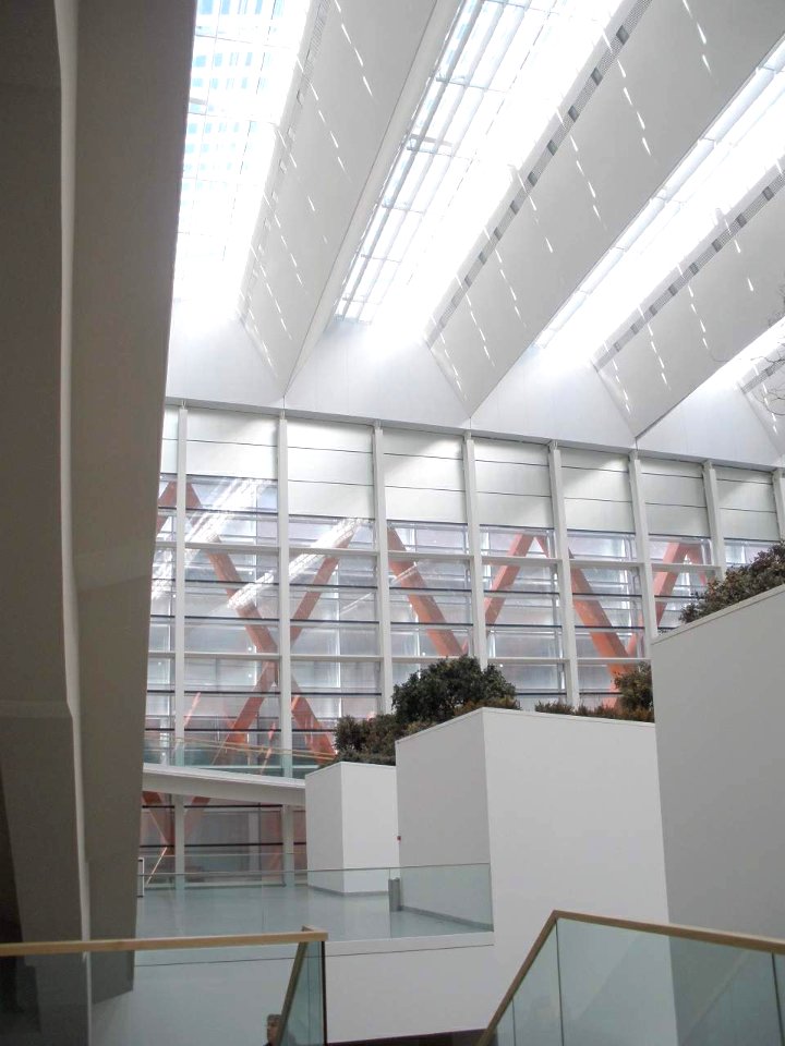 Burgos - Museo de la Evolución Humana (MEH), interiores 06