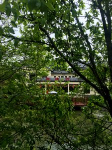Butterfly Exhibition Hall in Guangming Butterfly Valley