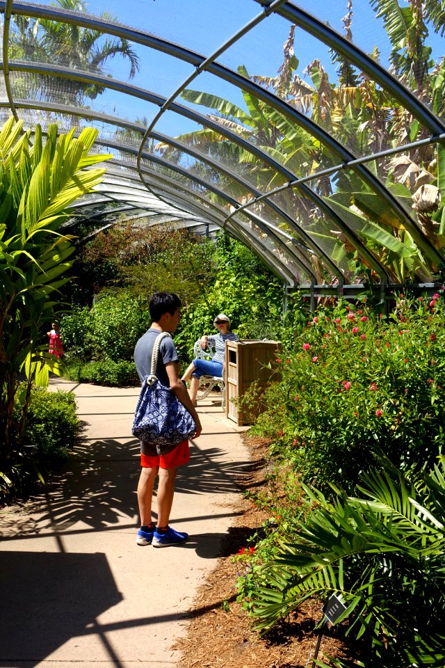 Butterfly House - Naples Botanical Garden - Naples, Florida - DSC09607