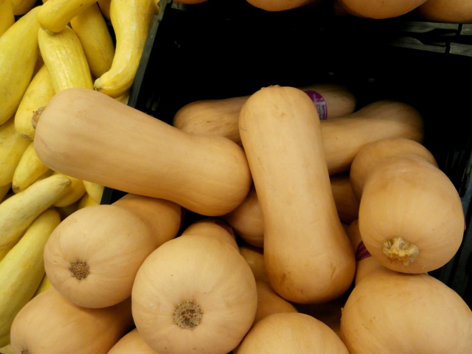 Butternut squash in a bin