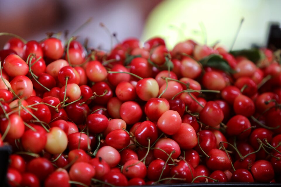 Cherry fruit fruits