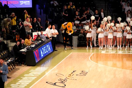Buzz (mascot), GT vs BC basketball March 3, 2019