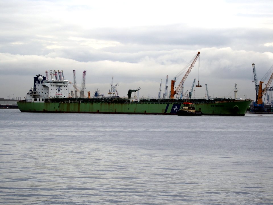 BW Orinoco (ship, 2007), IMO 9324320, Port of Antwerp pic1