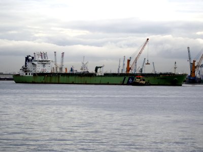 BW Orinoco (ship, 2007), IMO 9324320, Port of Antwerp pic1