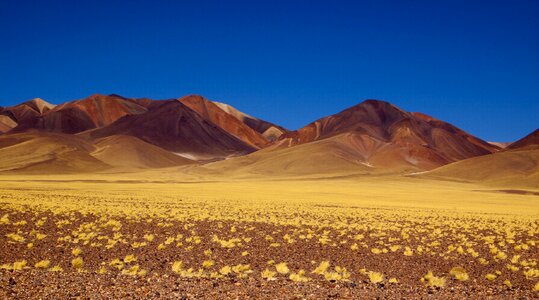 Andes landscape cordillera