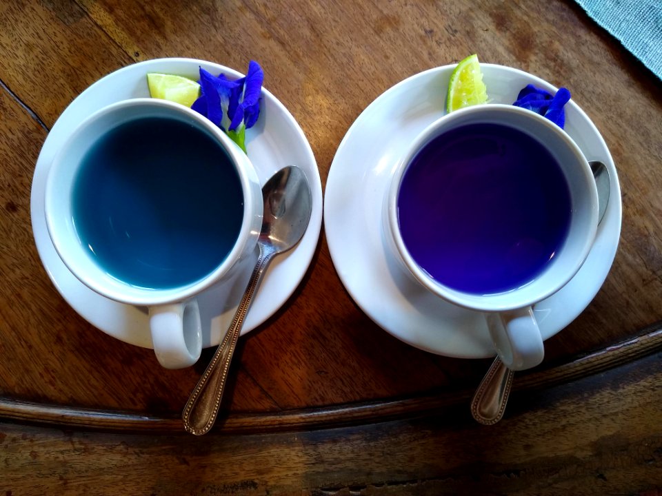 Butterfly-pea flower tea 3