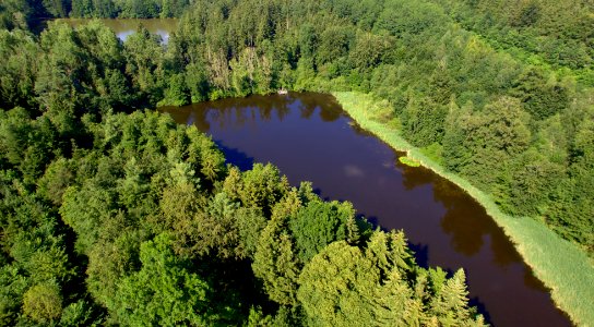 BuxheimWeiher3und4 Bild1