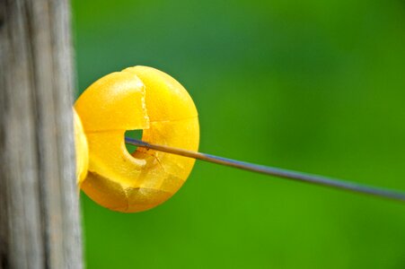 Eyelet electric fence wire