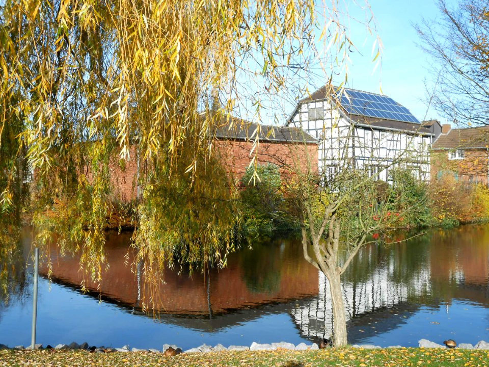 Burgweiher Buschhoven