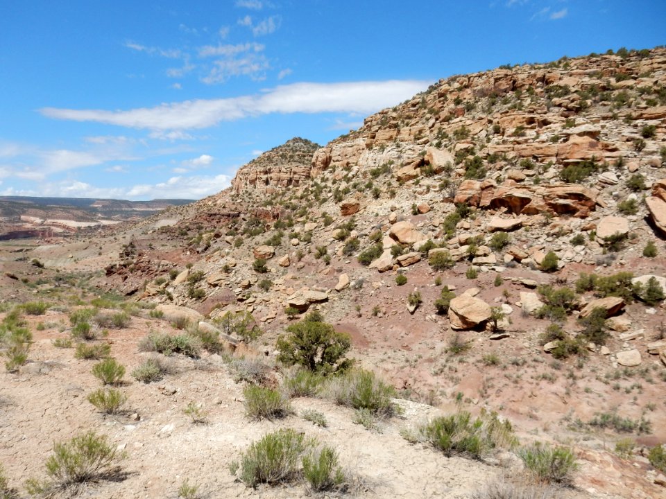 Burro Canyon at type