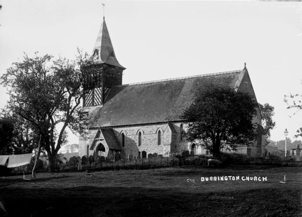 Burrington church (1293466)
