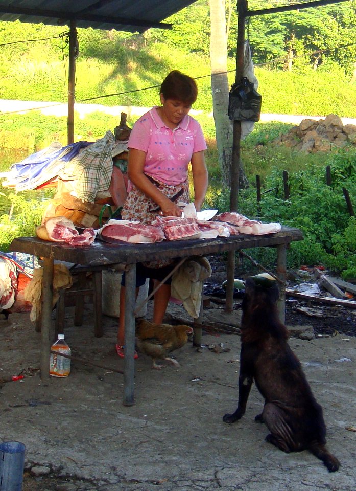 Butcher in Hainan - 01 - cropped