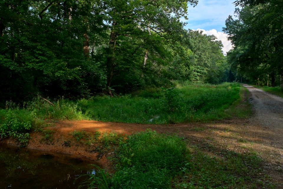 Busted Culvert on 4 mile level C and O Canal