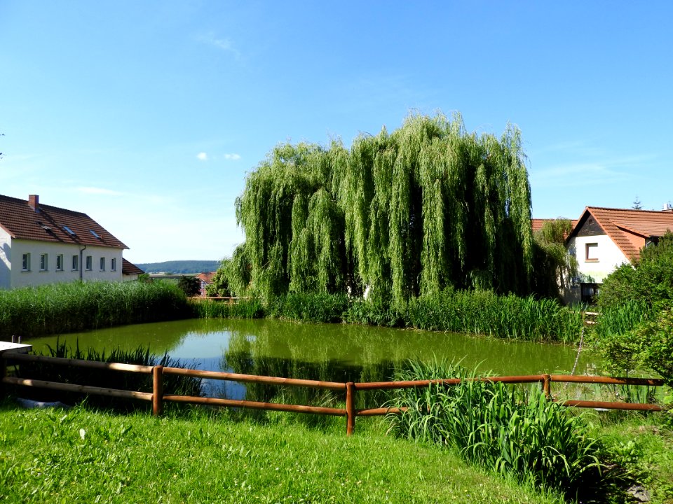 Burgwitz, Kospoda, Thuringia 1
