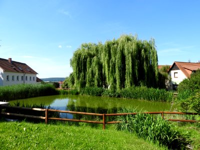 Burgwitz, Kospoda, Thuringia 1