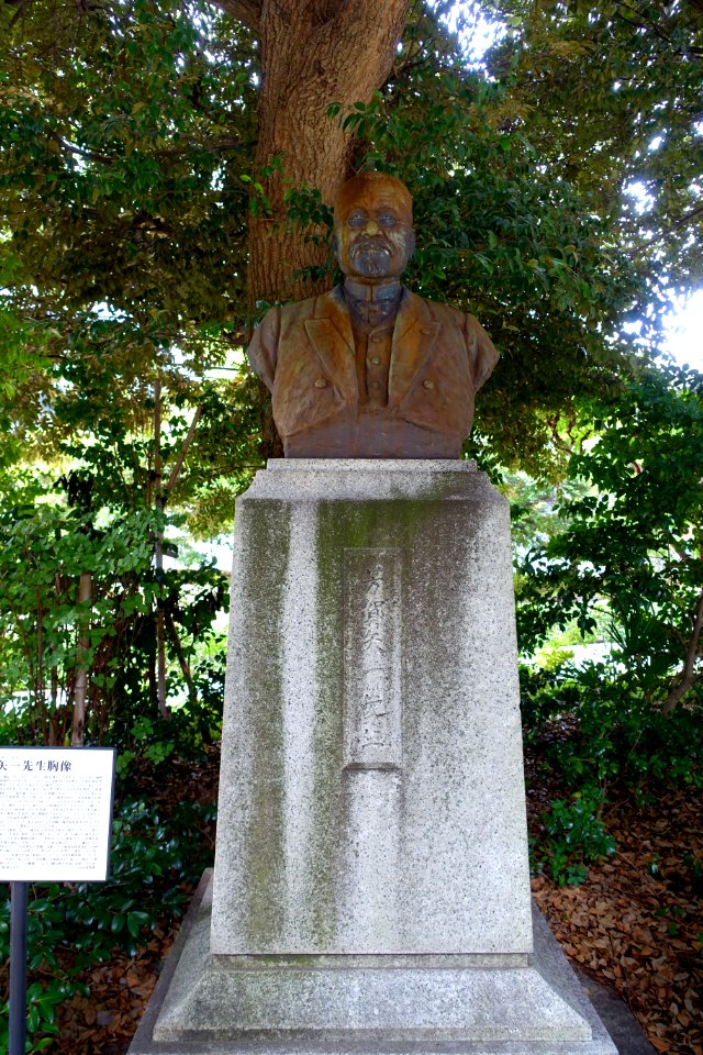 Bust - Kokugakuin University - Shibuya, Tokyo, Japan - DSC05546