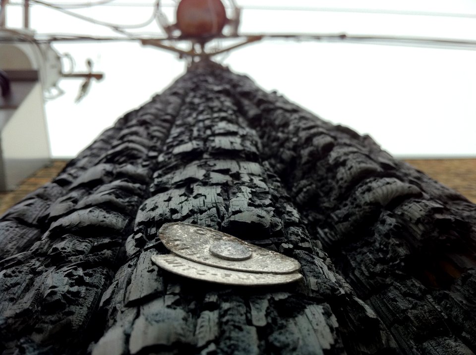 Burned Telephone Pole with Tag