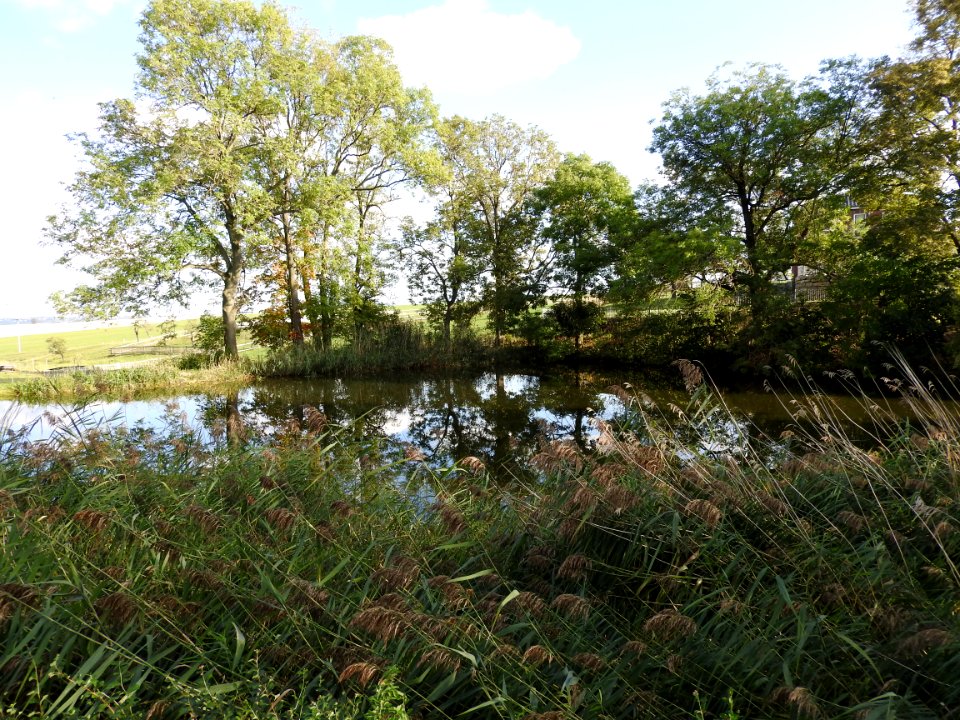 Burkersdorf, Tegau 3