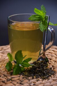 Cup aromatic plant
