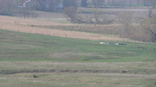 Butler County, NE Oak Creek descent ruts 1f
