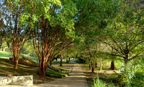 Butler Trail - Austin, Texas - DSC08707