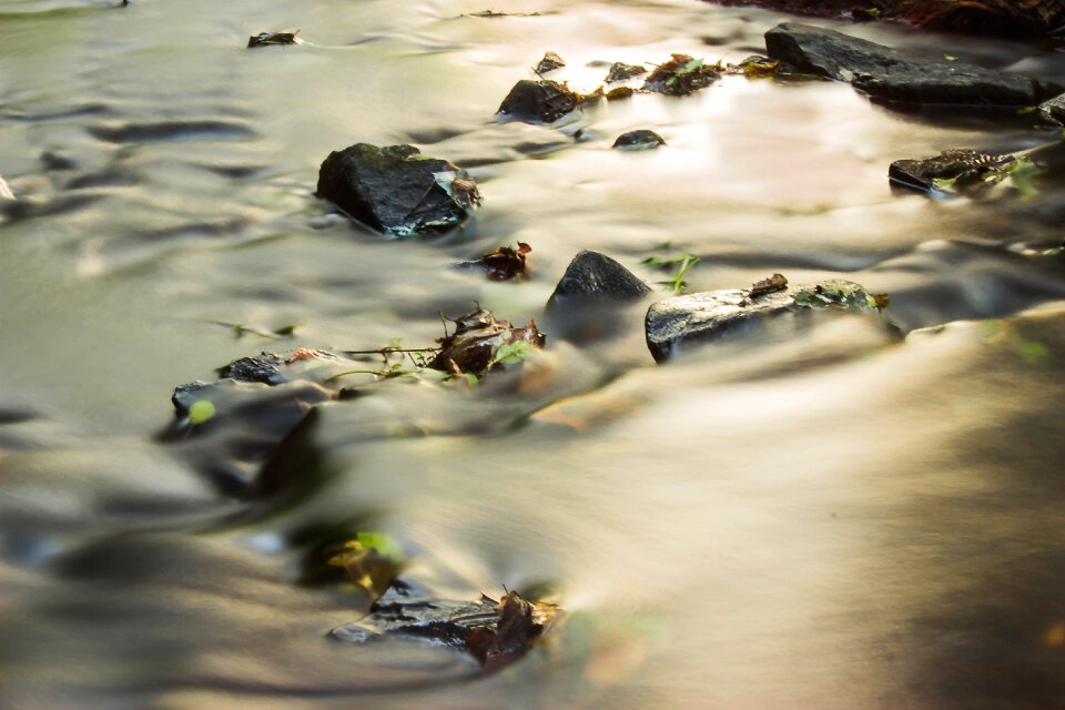 Stones fluent driving leaves