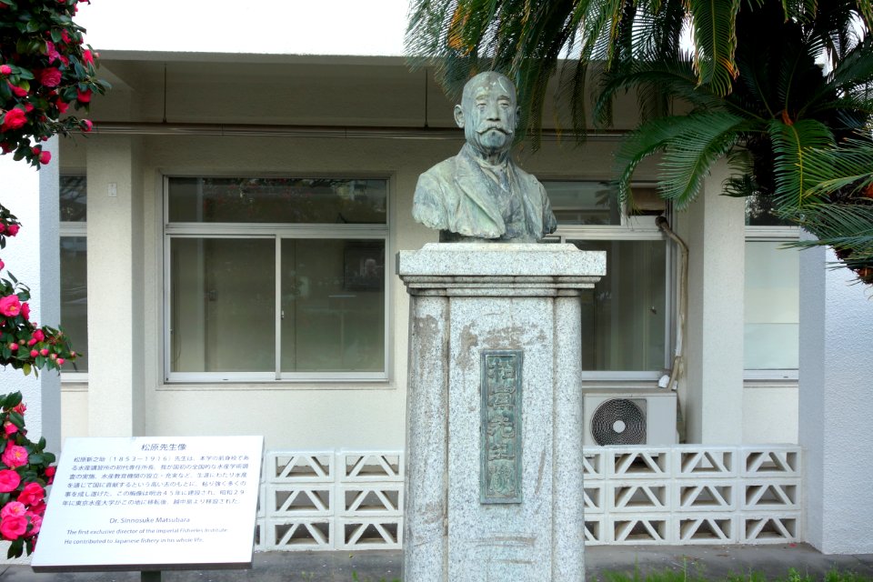 Bust of Dr. Sinnosuke Matsubara - Tokyo University of Marine Science and Technology - DSC00907
