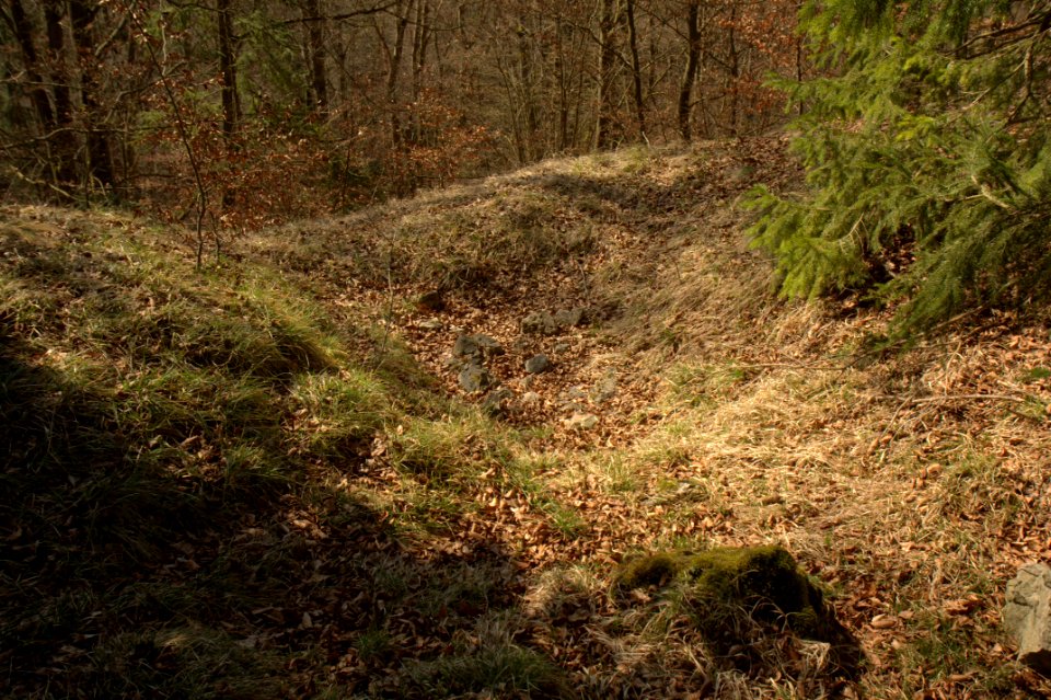 Burgstall Löweneck06