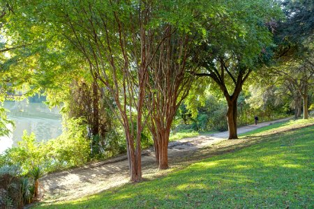 Butler Trail - Austin, Texas - DSC08719