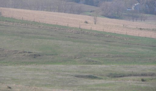 Butler County, NE Oak Creek descent ruts 1e