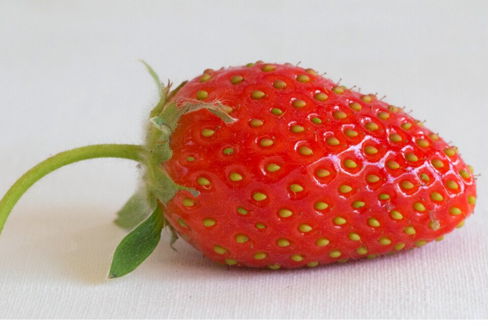 Dessert red fruits sweet