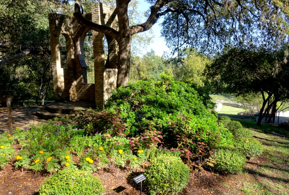 Butler Window - Zilker Botanical Garden - Austin, DSC08852