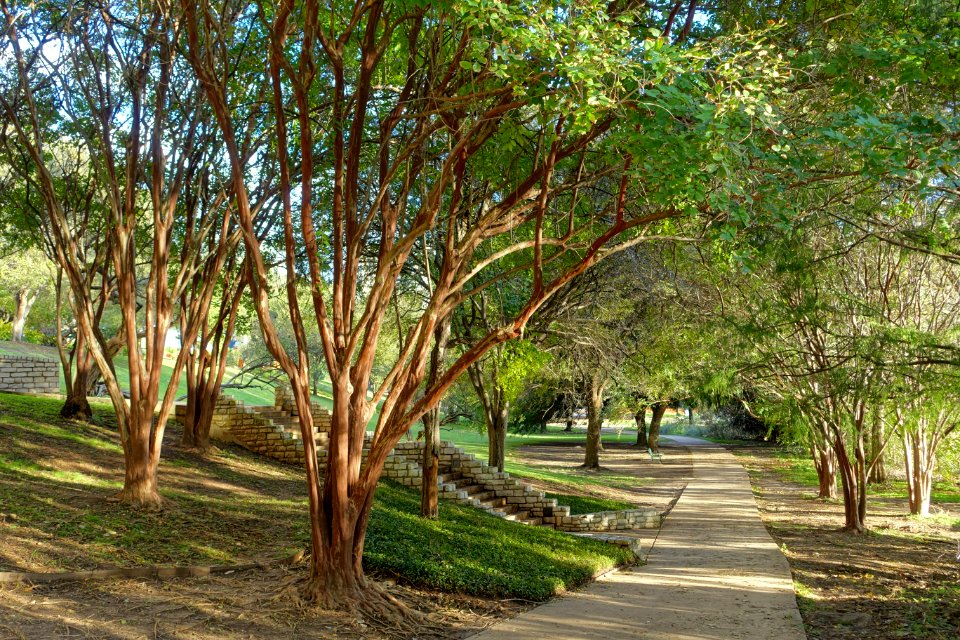 Butler Trail - Austin, Texas - DSC08711