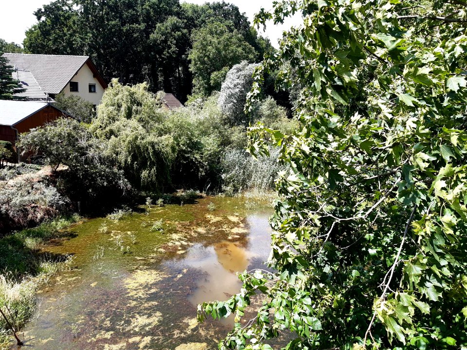 Burgliebenau Alte Weiße Elster