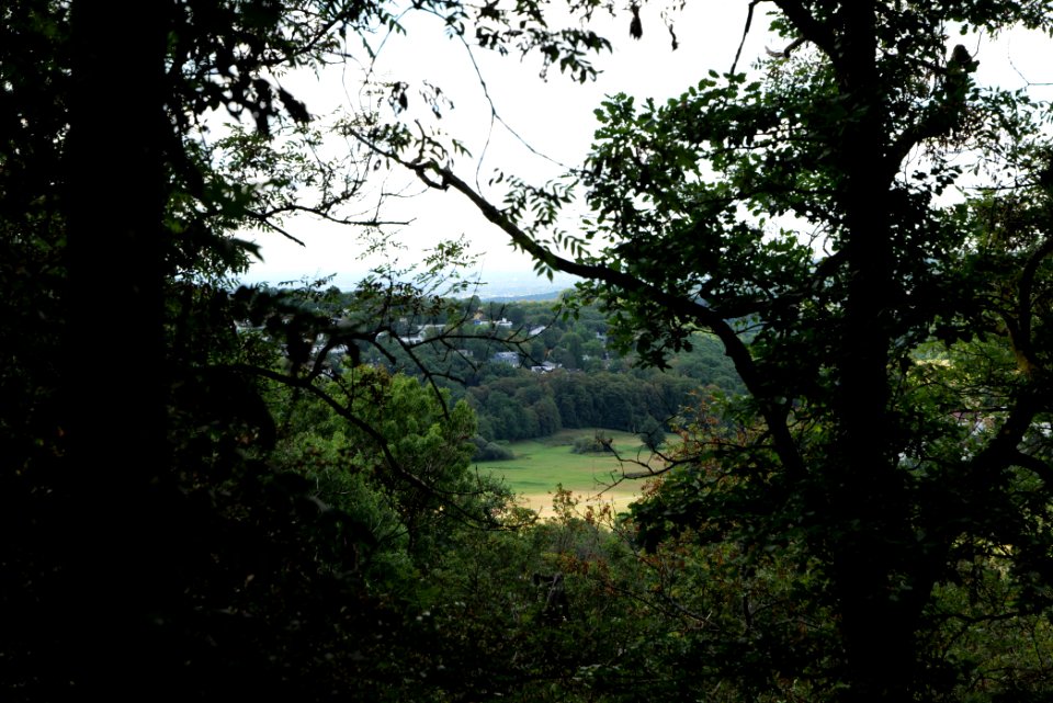 Burghain Königstein 2020-08-18 10