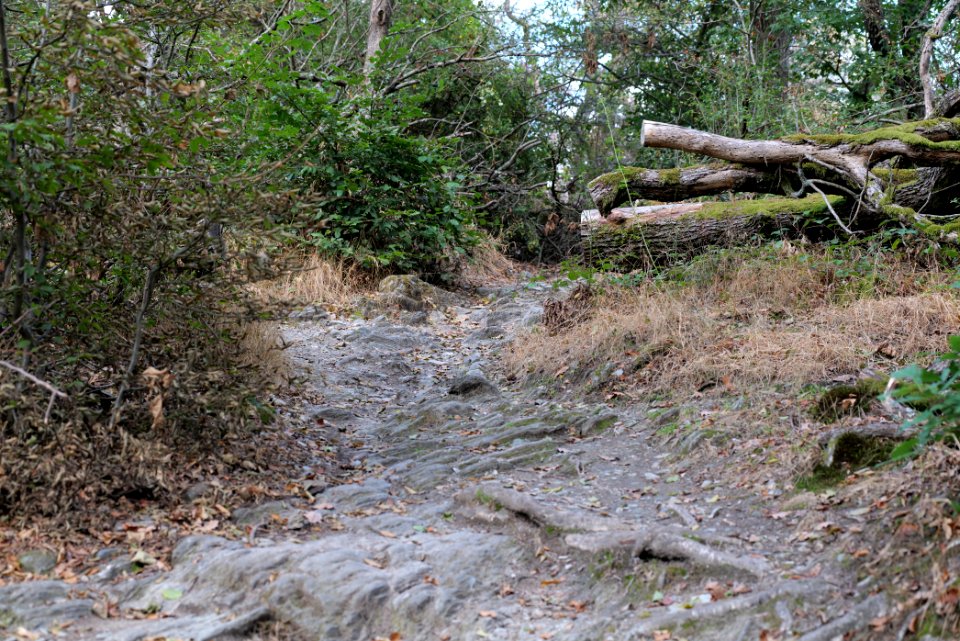 Burghain Falkenstein 2020-08-18 19