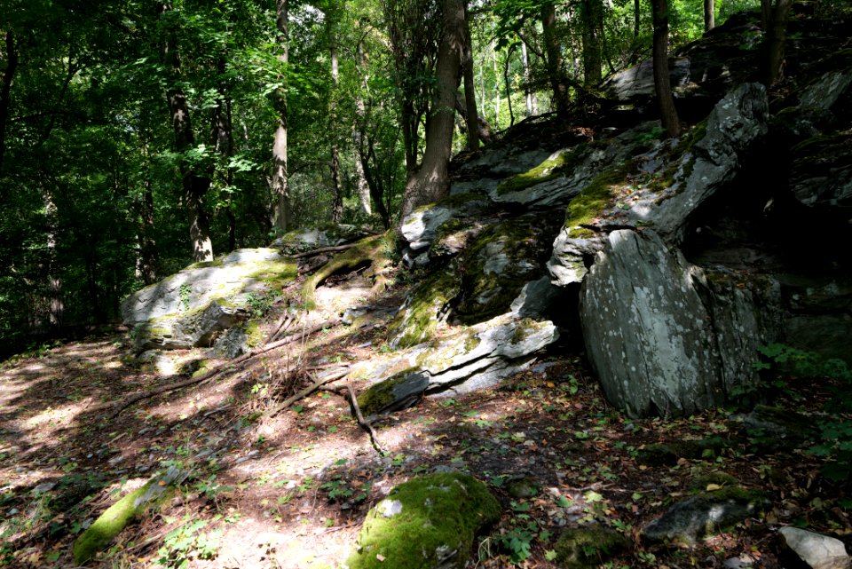 Burghain Königstein 2020-08-18 31