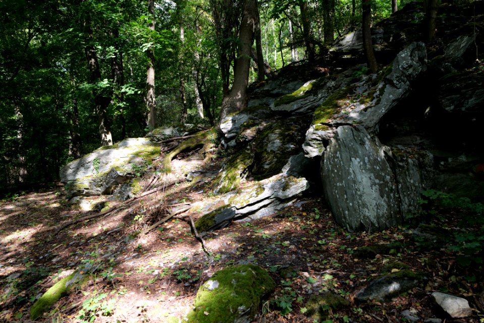 Burghain Königstein 2020-08-18 28