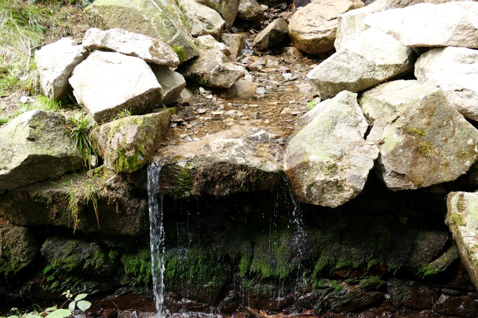 Rehberger moat nature rock