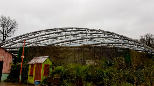 Burgers Zoo-Mangrove (6)