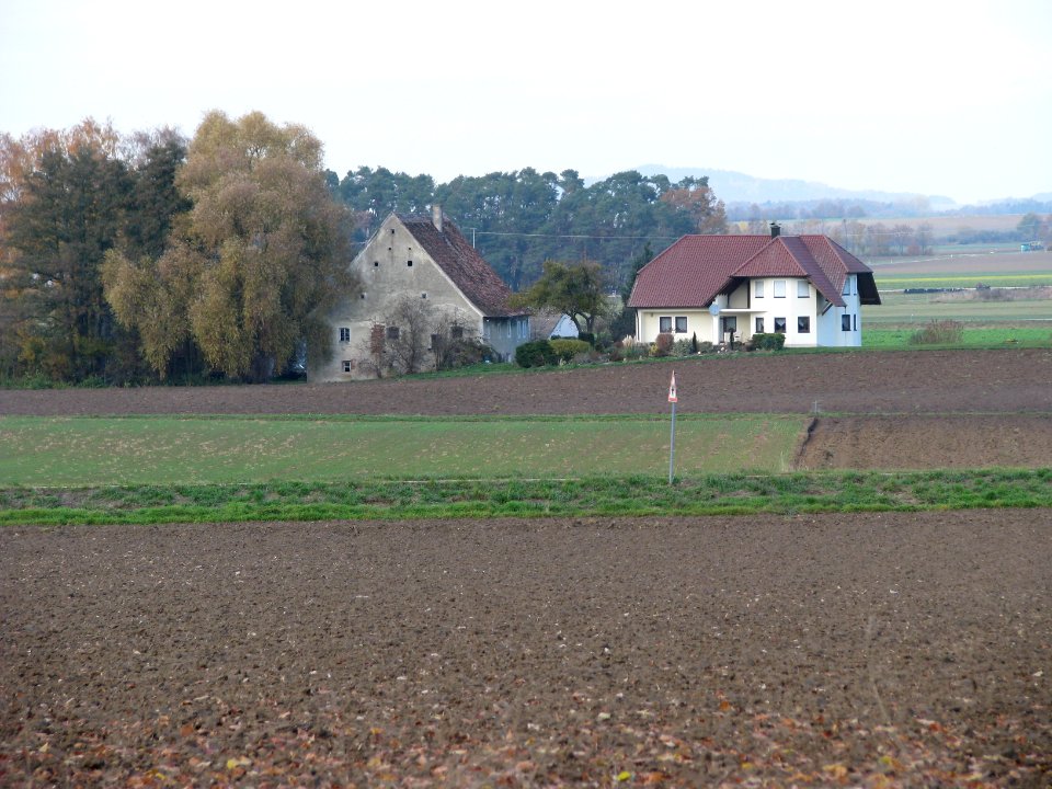 Burggriesbach (22)