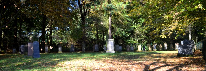 Burgholzhausen, jüdischer Friedhof (1)