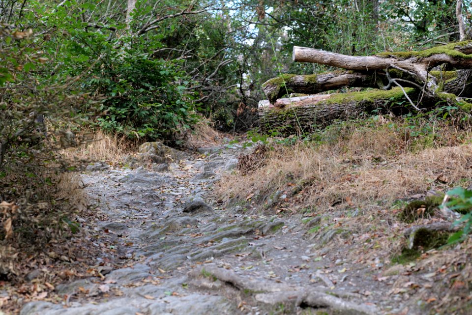 Burghain Falkenstein 2020-08-18 20
