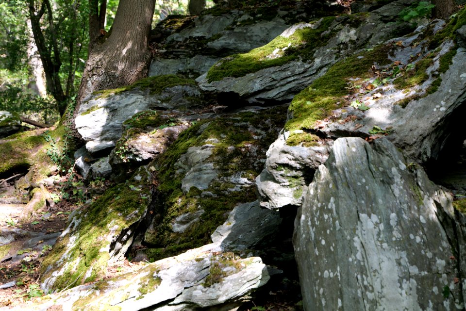 Burghain Königstein 2020-08-18 33