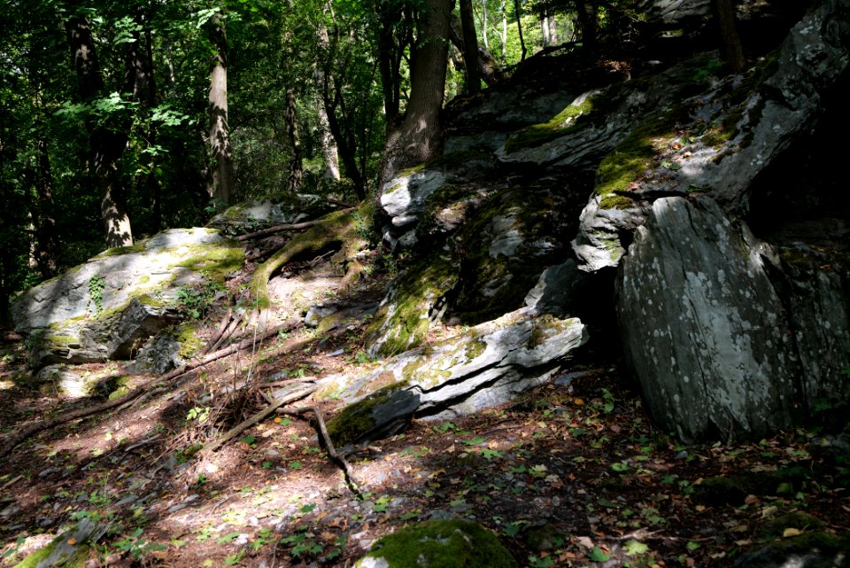 Burghain Königstein 2020-08-18 29