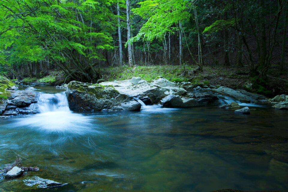 Fall forest clear stream