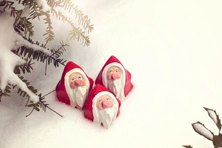 Holiday winter red