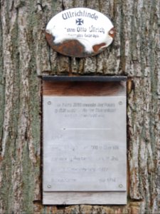 Burglemnitz 5