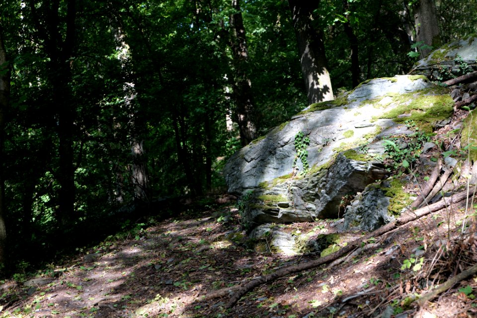 Burghain Königstein 2020-08-18 36