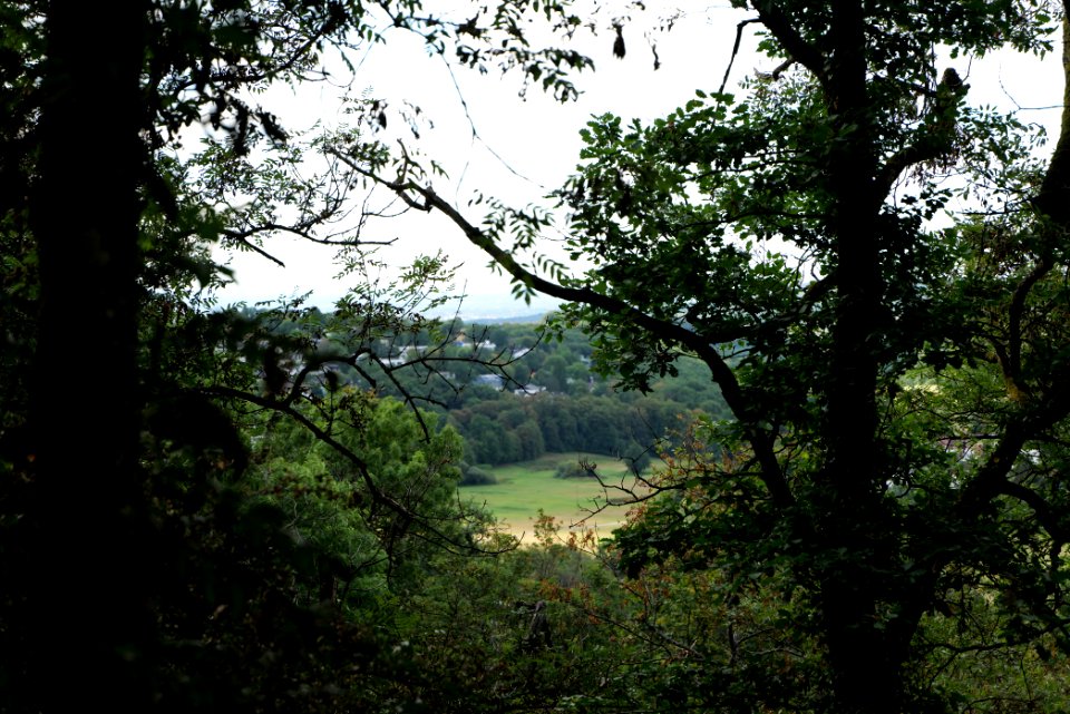 Burghain Königstein 2020-08-18 09